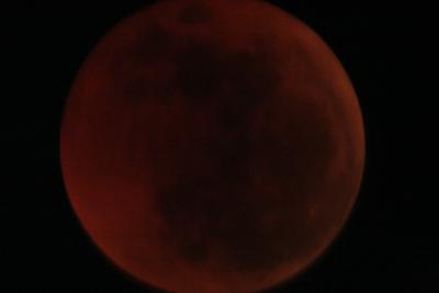 img_8264.jpg